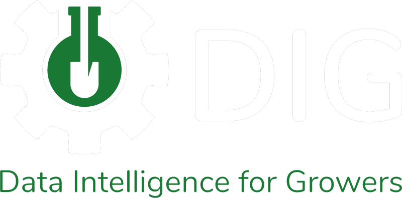 DIG Logo