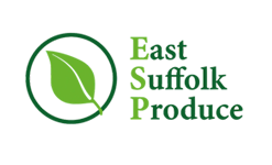 ESP Logo