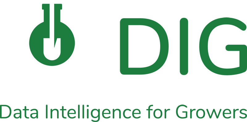 dig logo